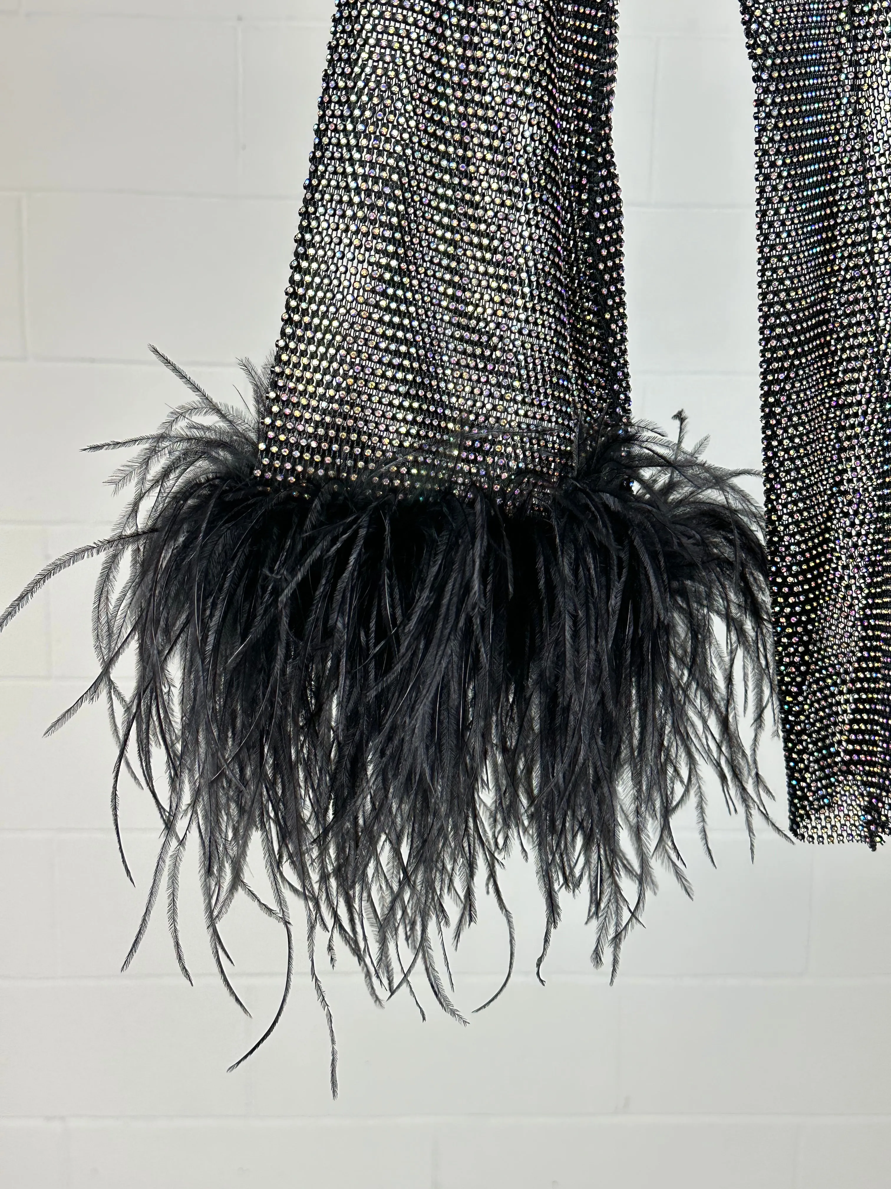 Black Feathers Dress