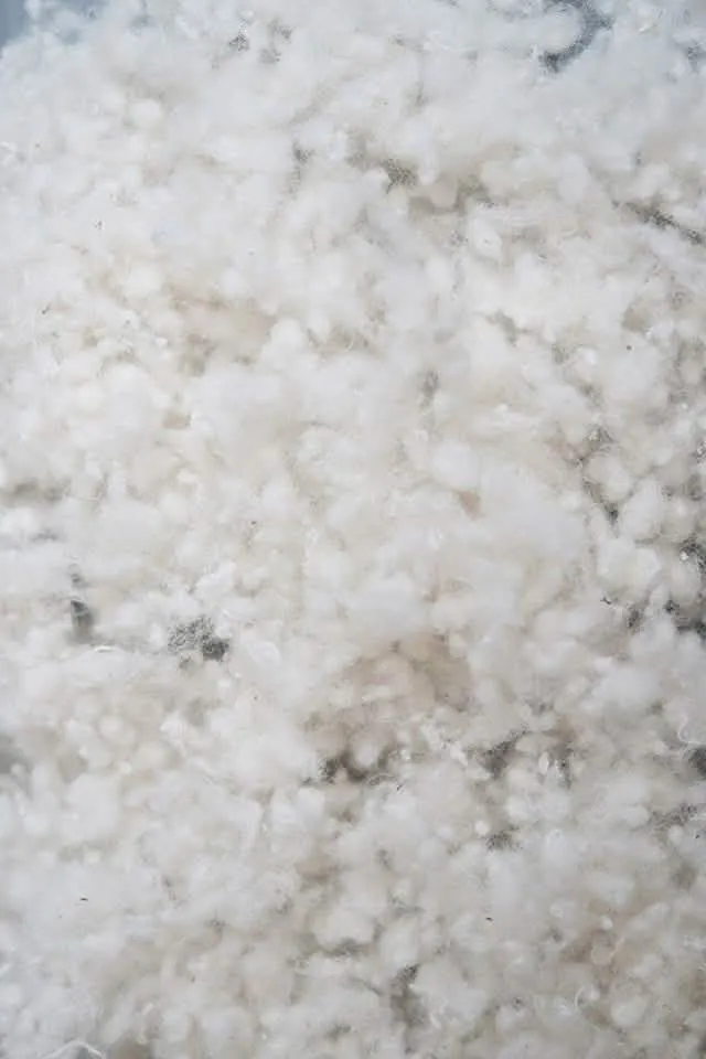 Custom Organic Wool Pillow