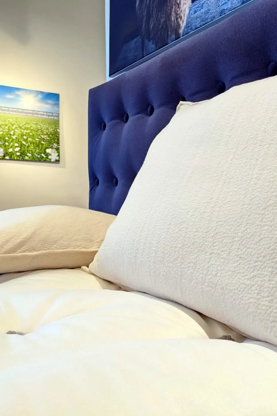 Custom Organic Wool Pillow