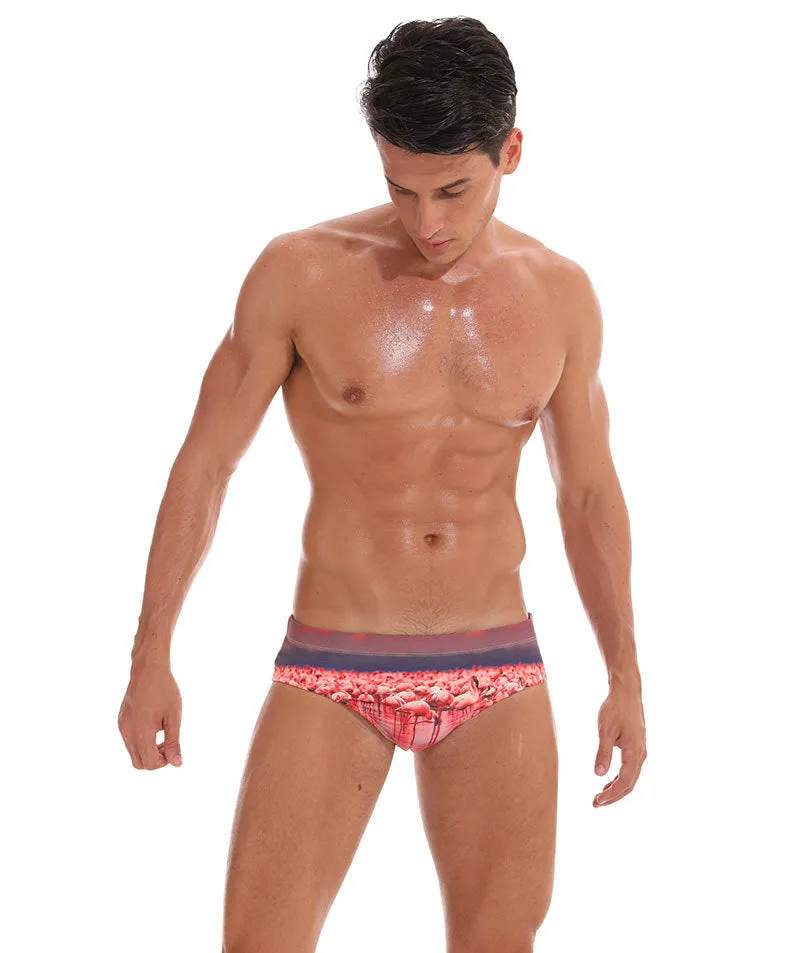 Men's Nature Swim Briefs (Three Pieces)